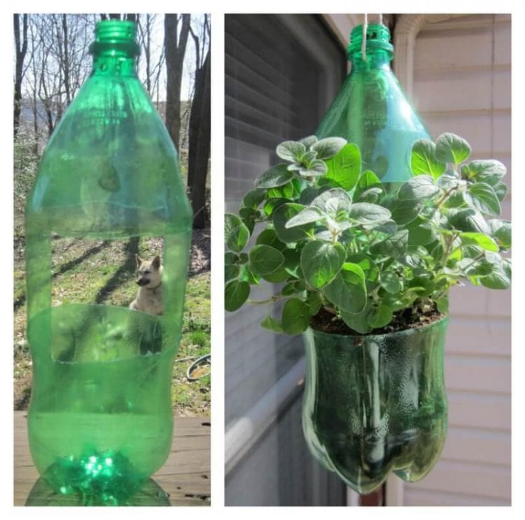 plastic bottle planter
