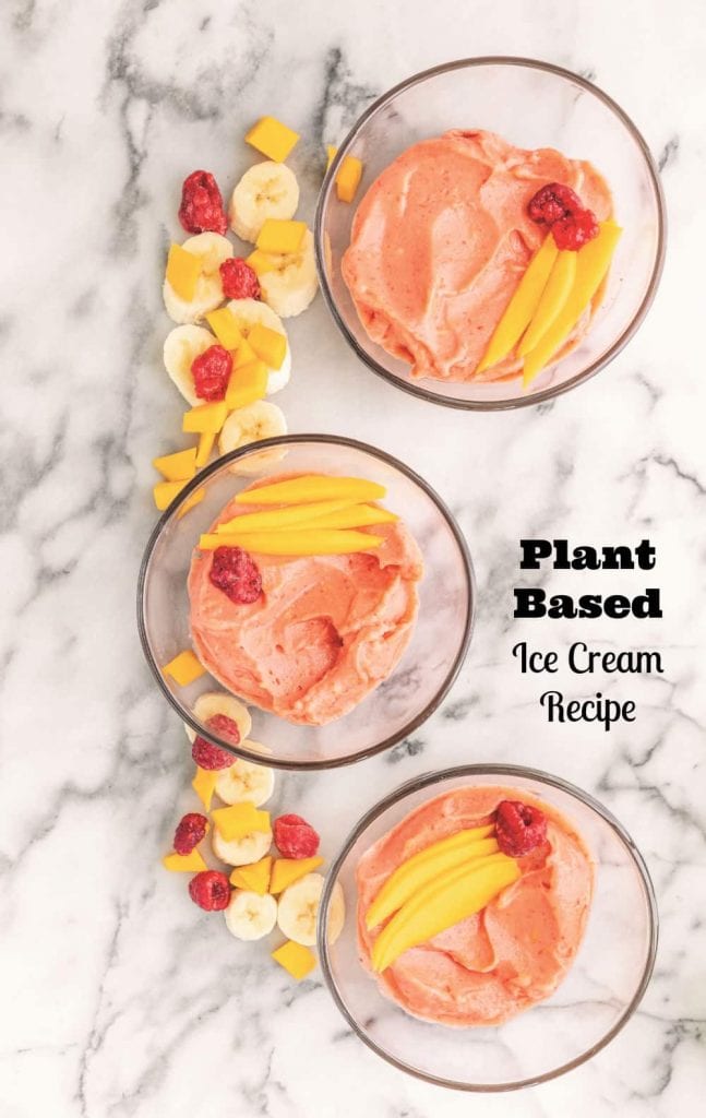 plant based ice cream recipe