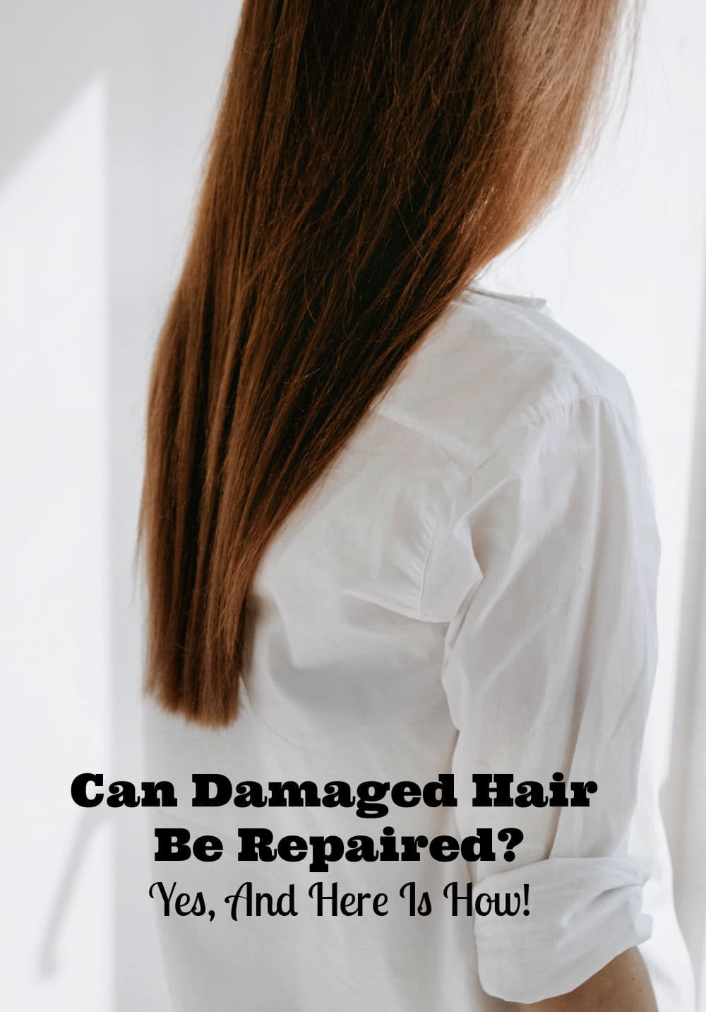 Can Damaged Hair Be Repaired? Family Focus Blog
