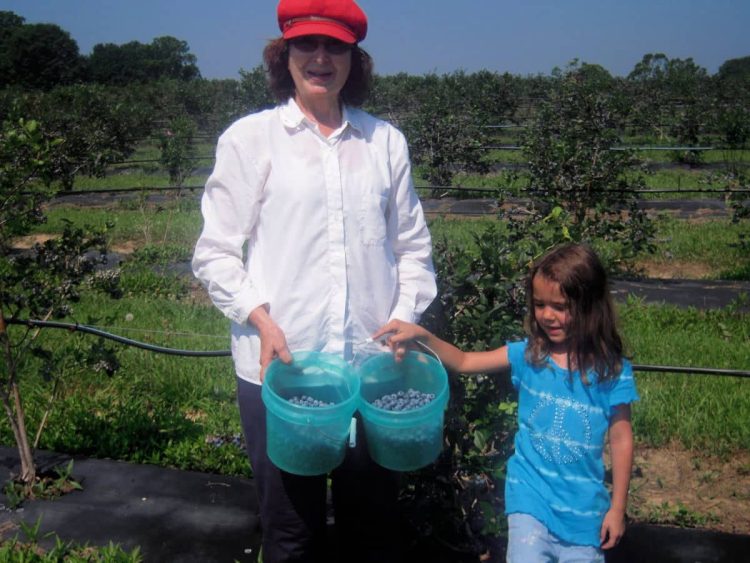 berry picking with kids