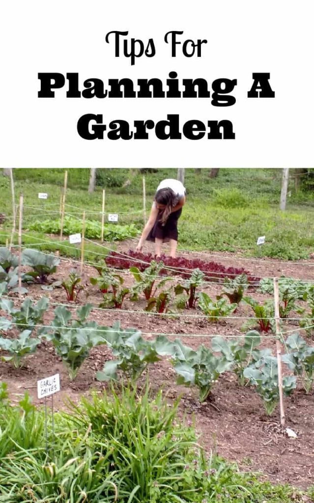 tips for planning a garden