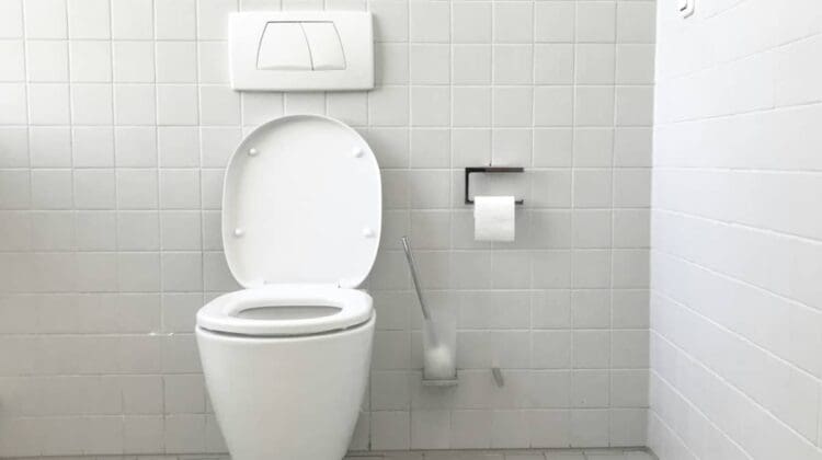 water-saving dual flush toilets