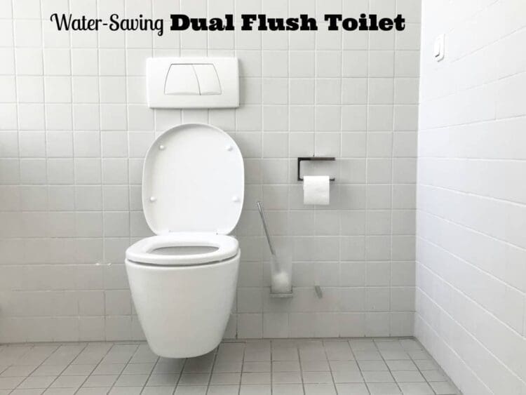 water saving dual flush toliet