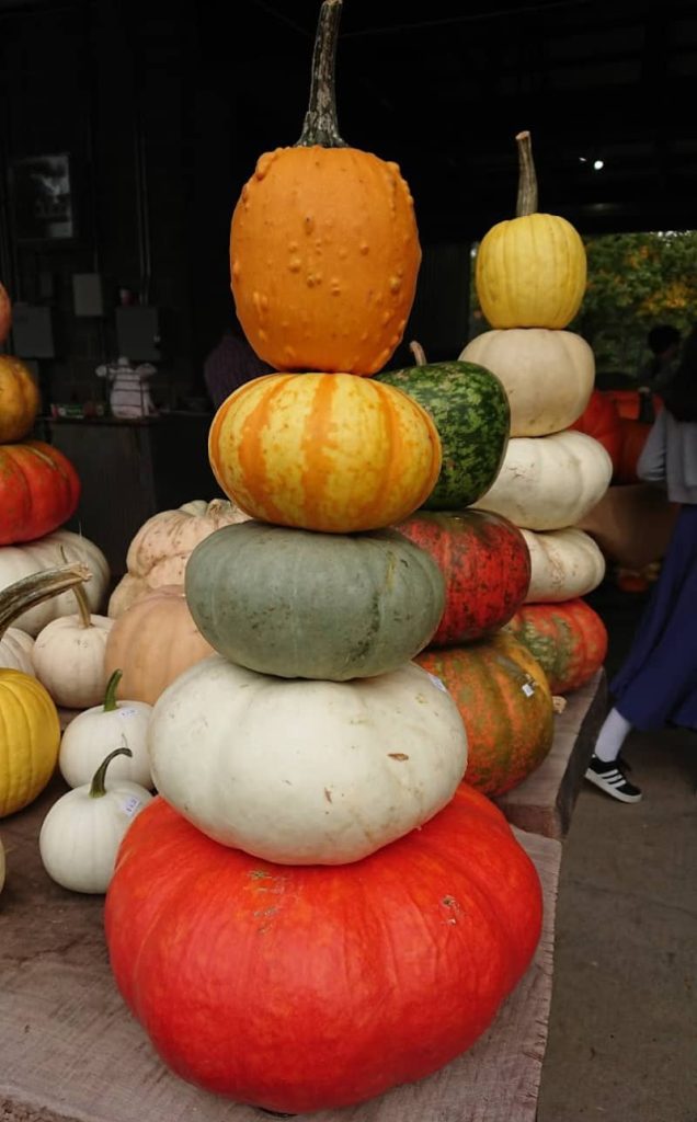 farmer's market pumpkins