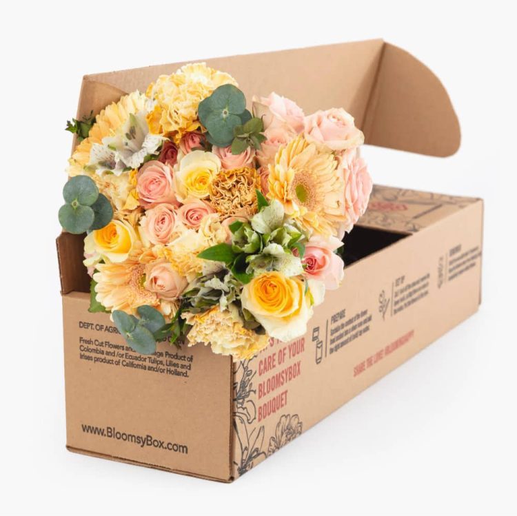 flower subscription box- BloomsyBox