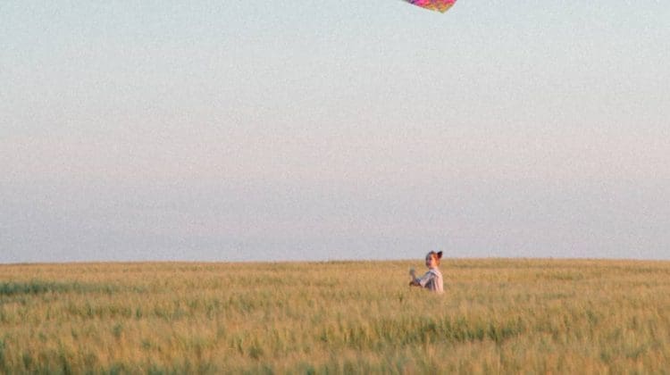 kite outdoor gift