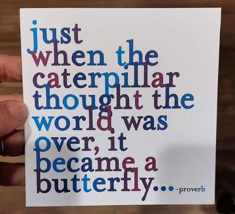 it became a butterfly