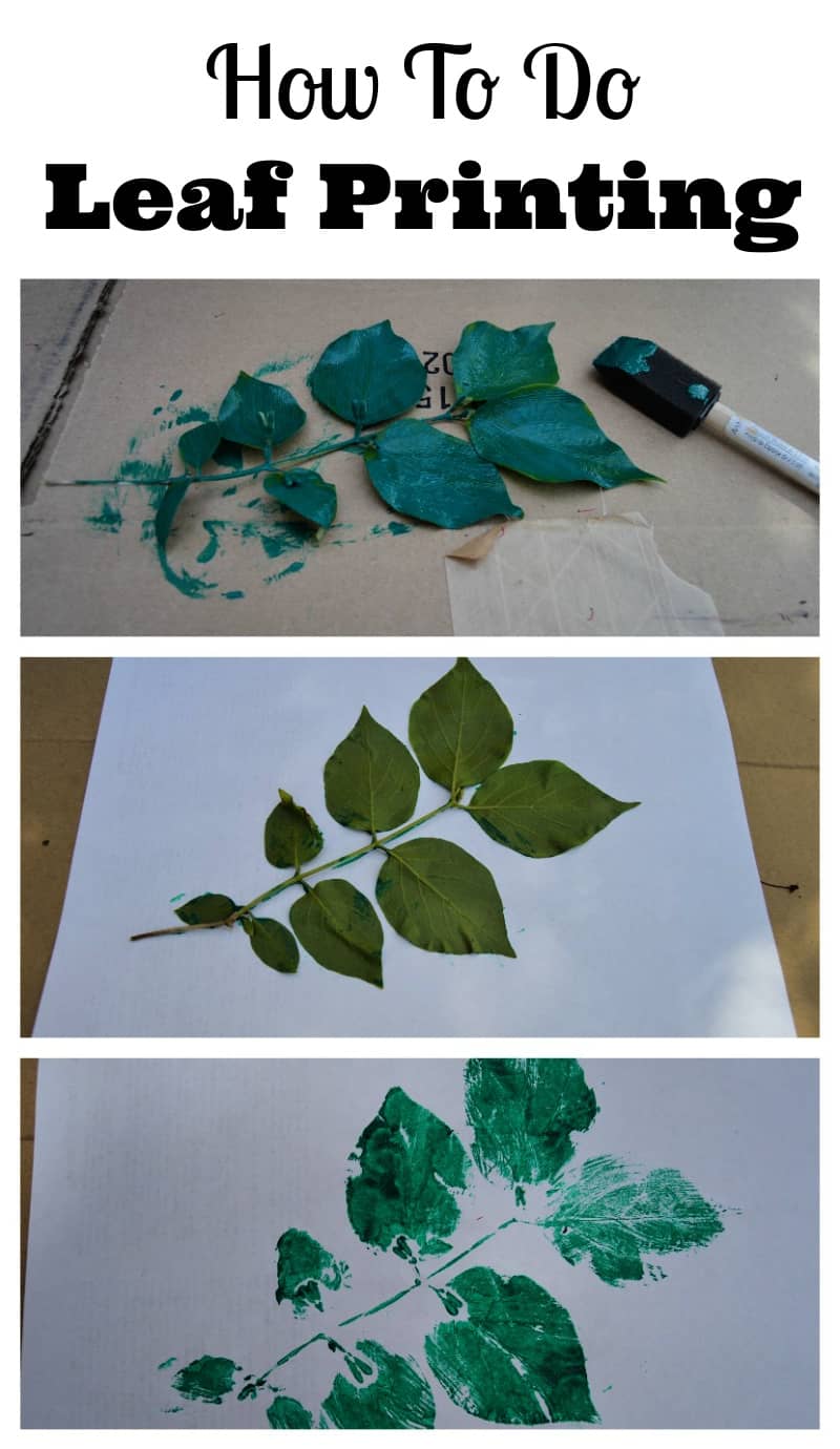 Discover The Art Of Leaf Printing - Family Focus Blog