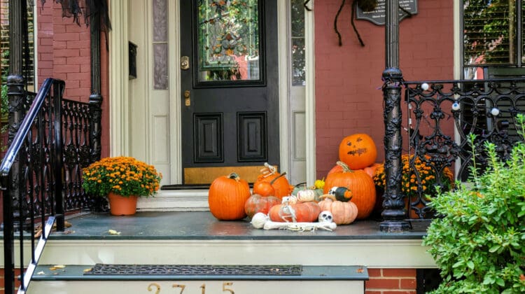 Halloween Decor Ideas