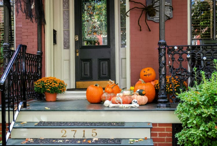 Halloween Decor Ideas