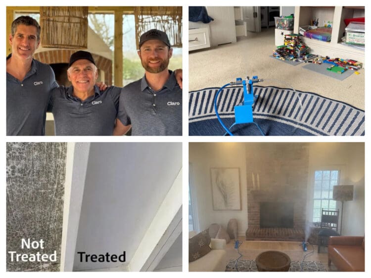 Nashville mold remediation