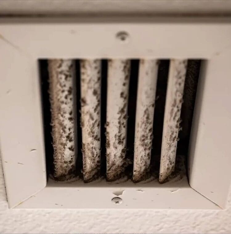 Claro Nashville Mold Removal in HVAC