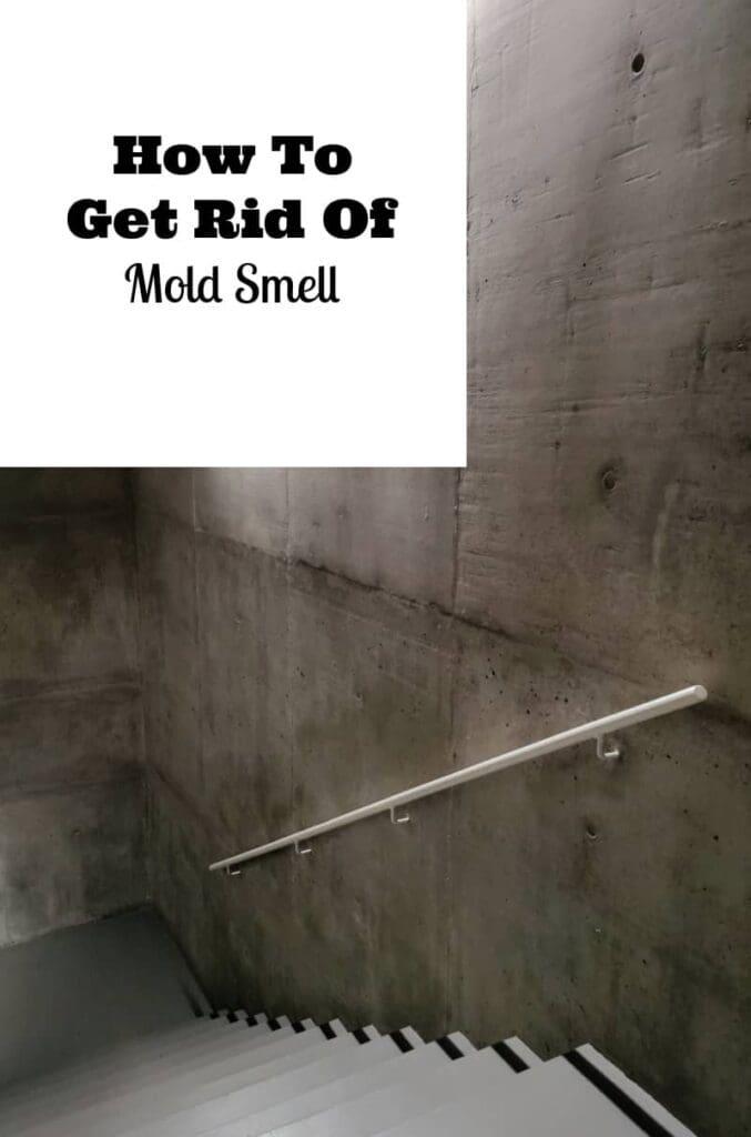 how to get rid of mold smell