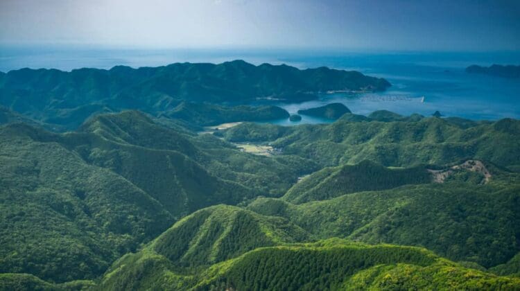 Tsushima Island